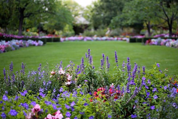 List of victims killed by the IOF