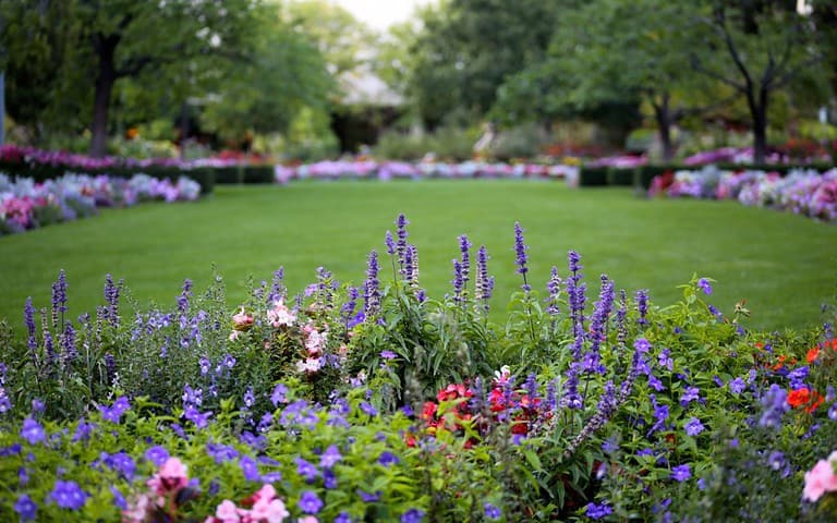 List of victims killed by the IOF